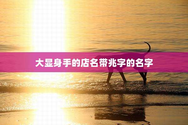 大显身手的店名带兆字的名字