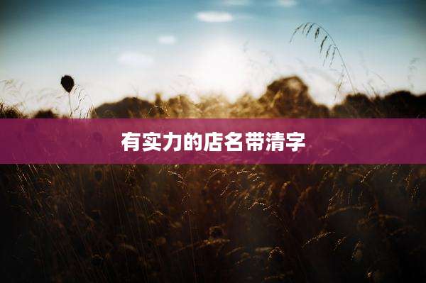 有实力的店名带清字