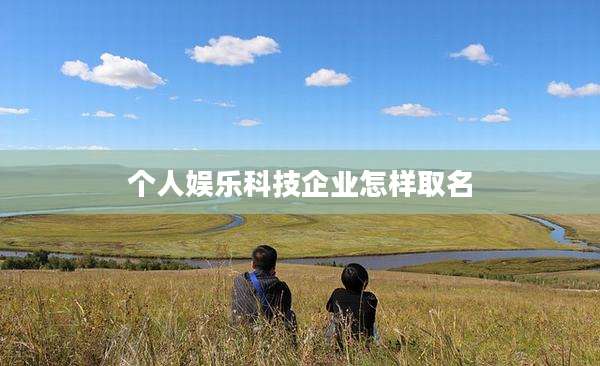 个人娱乐科技企业怎样取名