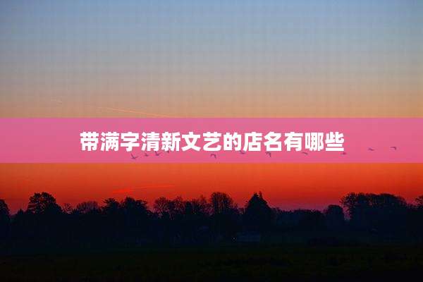 带满字清新文艺的店名有哪些