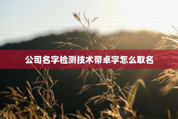公司名字检测技术带卓字怎么取名