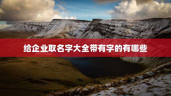给企业取名字大全带有字的有哪些