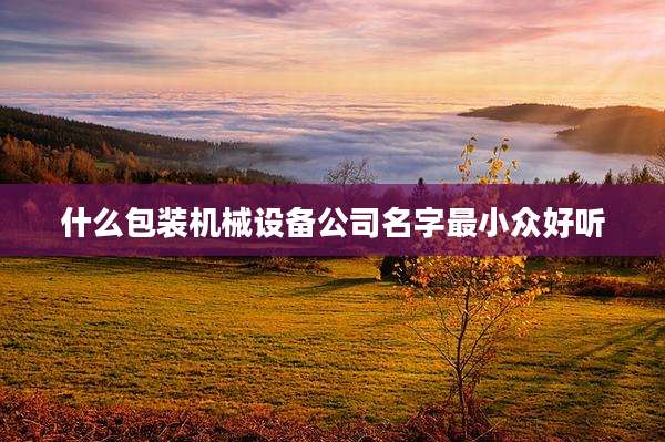 什么包装机械设备公司名字最小众好听
