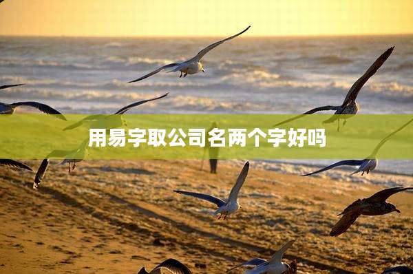 用易字取公司名两个字好吗