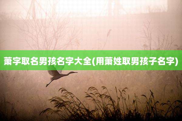 萧字取名男孩名字大全(用萧姓取男孩子名字)