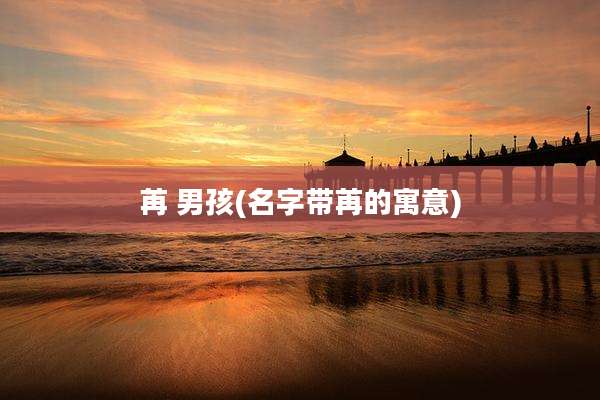 苒 男孩(名字带苒的寓意)
