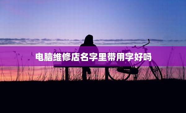 电脑维修店名字里带用字好吗