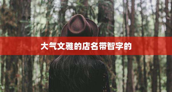 大气文雅的店名带智字的