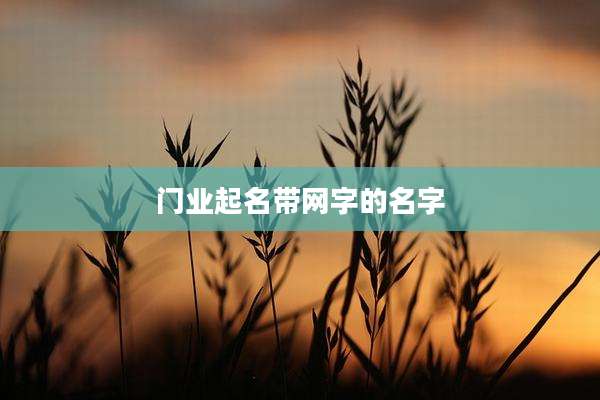 门业起名带网字的名字