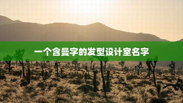 一个含曼字的发型设计室名字