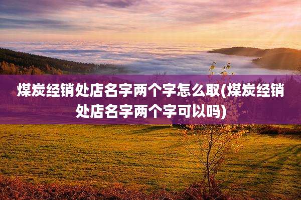 煤炭经销处店名字两个字怎么取(煤炭经销处店名字两个字可以吗)