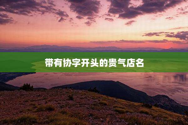 带有协字开头的贵气店名