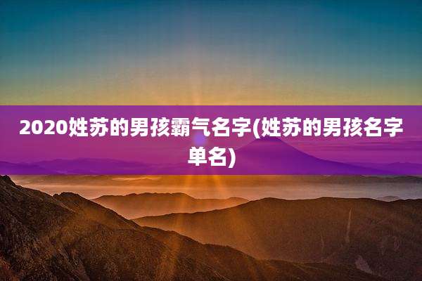 2020姓苏的男孩霸气名字(姓苏的男孩名字单名)