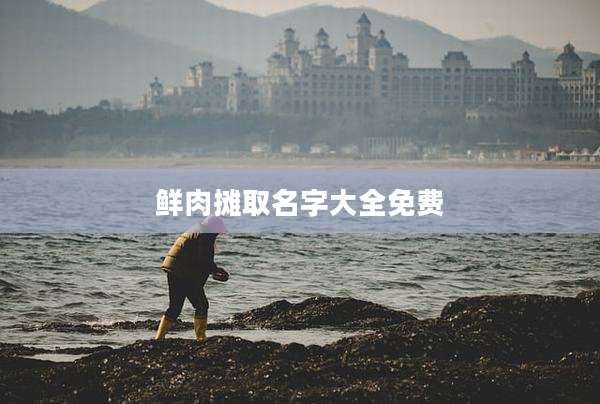 鲜肉摊取名字大全免费