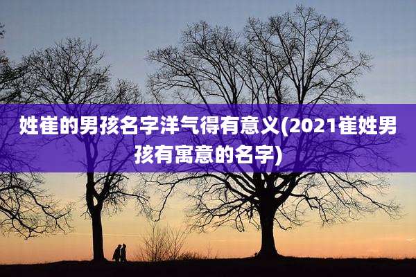 姓崔的男孩名字洋气得有意义(2021崔姓男孩有寓意的名字)