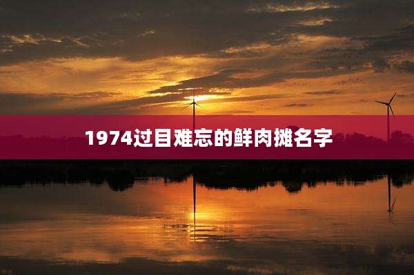 1974过目难忘的鲜肉摊名字