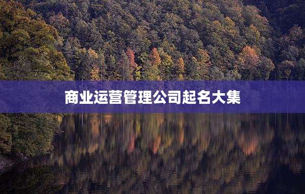 商业运营管理公司起名大集