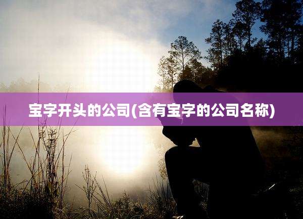 宝字开头的公司(含有宝字的公司名称)
