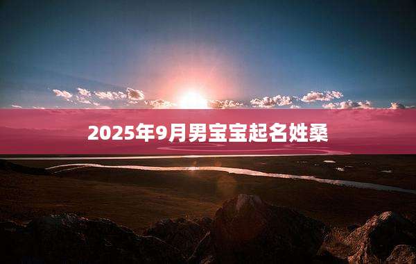 2025年9月男宝宝起名姓桑