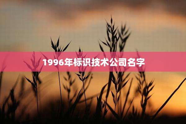1996年标识技术公司名字