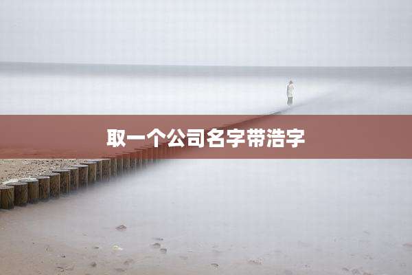 取一个公司名字带浩字