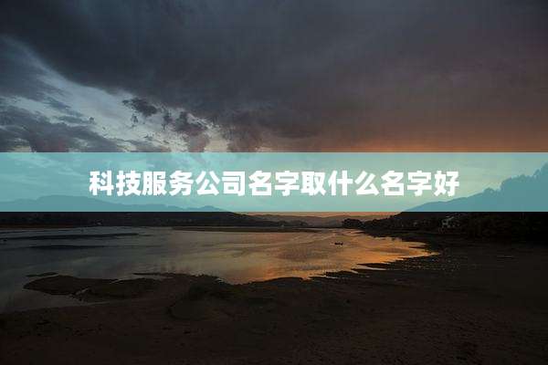 科技服务公司名字取什么名字好