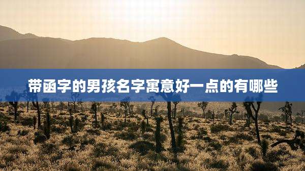带函字的男孩名字寓意好一点的有哪些