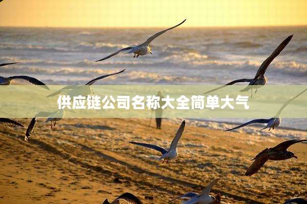 供应链公司名称大全简单大气