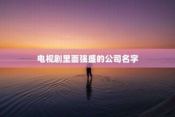 电视剧里面强盛的公司名字