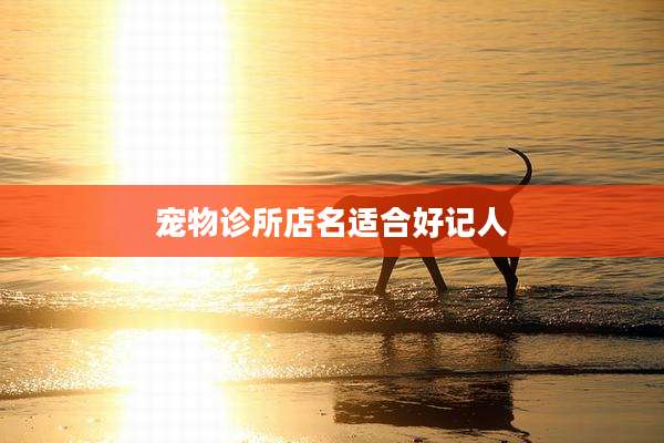 宠物诊所店名适合好记人