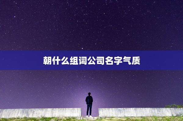 朝什么组词公司名字气质