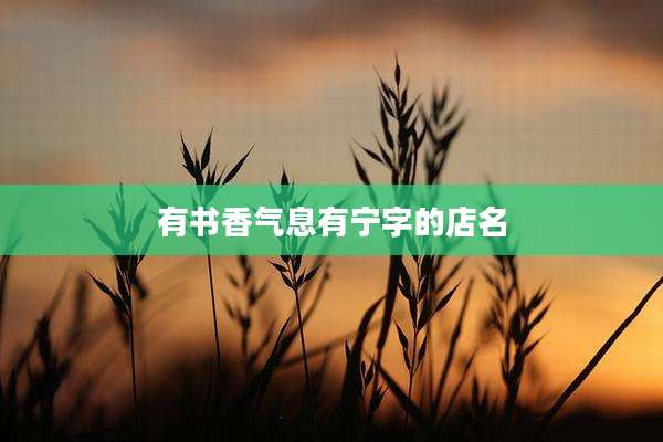 有书香气息有宁字的店名