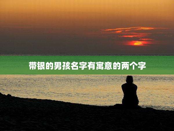 带银的男孩名字有寓意的两个字