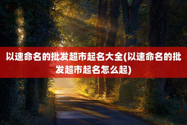 以速命名的批发超市起名大全(以速命名的批发超市起名怎么起)