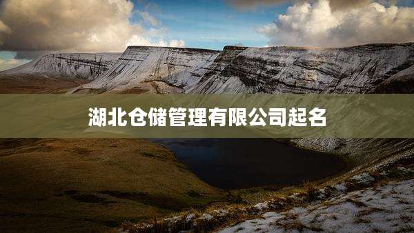 湖北仓储管理有限公司起名