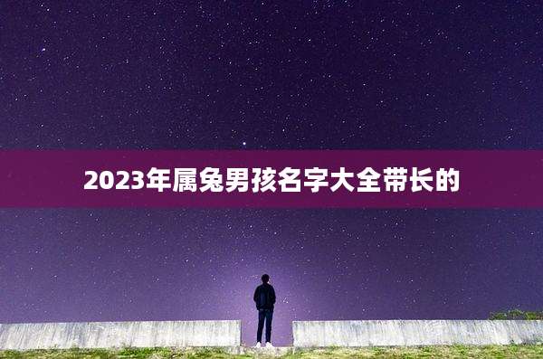 2023年属兔男孩名字大全带长的