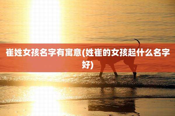 崔姓女孩名字有寓意(姓崔的女孩起什么名字好)