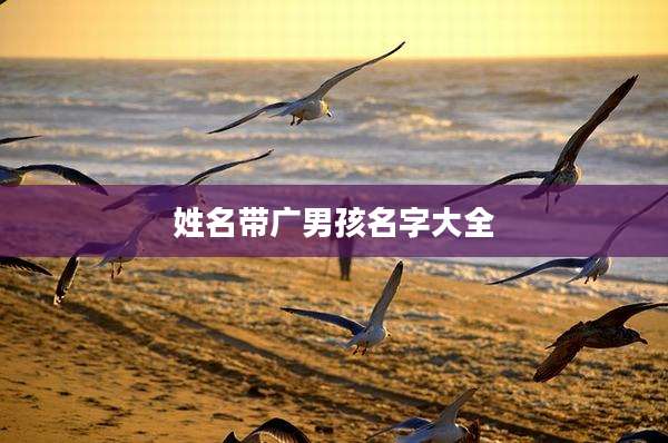 姓名带广男孩名字大全