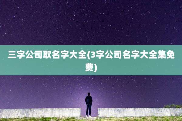 三字公司取名字大全(3字公司名字大全集免费)