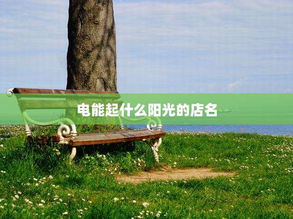 电能起什么阳光的店名