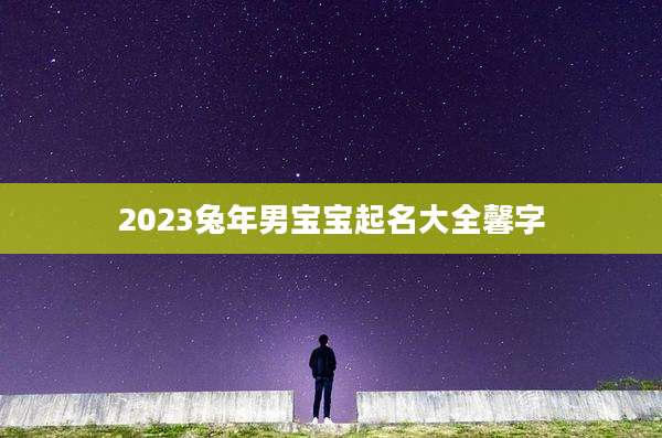2023兔年男宝宝起名大全馨字