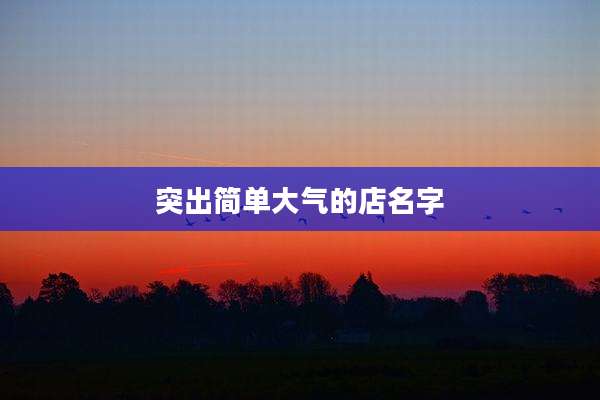 突出简单大气的店名字