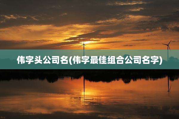 伟字头公司名(伟字最佳组合公司名字)