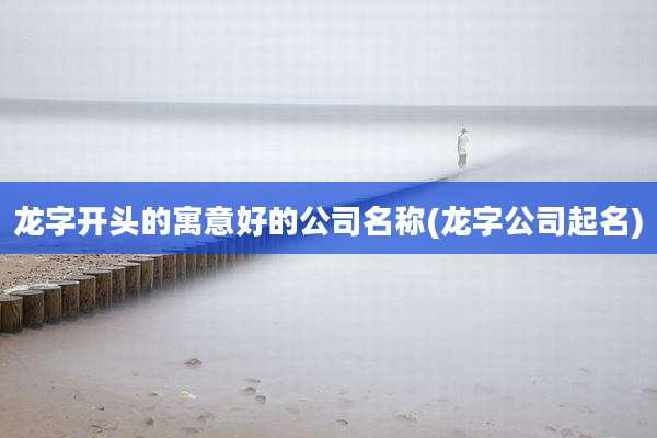 龙字开头的寓意好的公司名称(龙字公司起名)