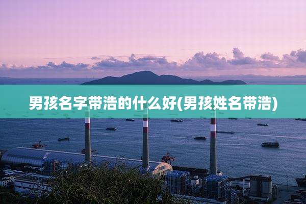 男孩名字带浩的什么好(男孩姓名带浩)