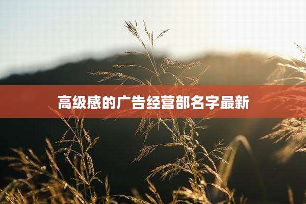 高级感的广告经营部名字最新