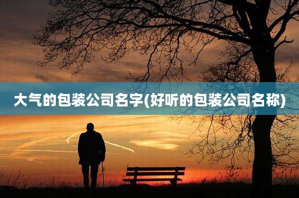 大气的包装公司名字(好听的包装公司名称)