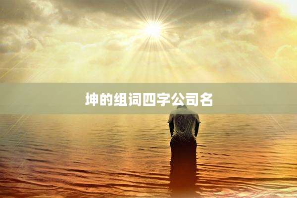坤的组词四字公司名