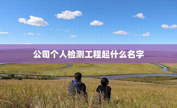 公司个人检测工程起什么名字