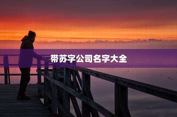 带苏字公司名字大全